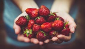 Just Food hiilikannutinkokeilunostoon mansikat